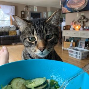 Meet your Posher, Brittney